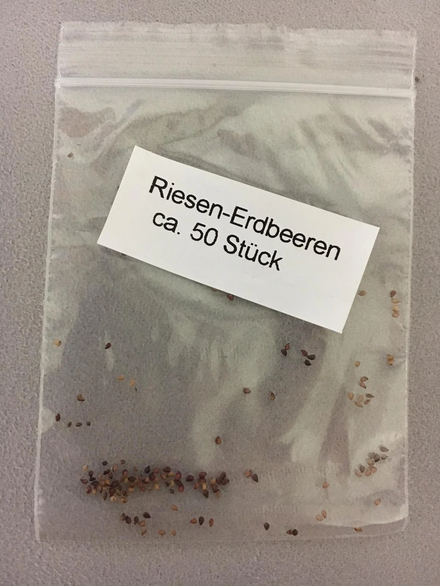 Fragaria Ananassa Truskawka olbrzymia 50 nasion
