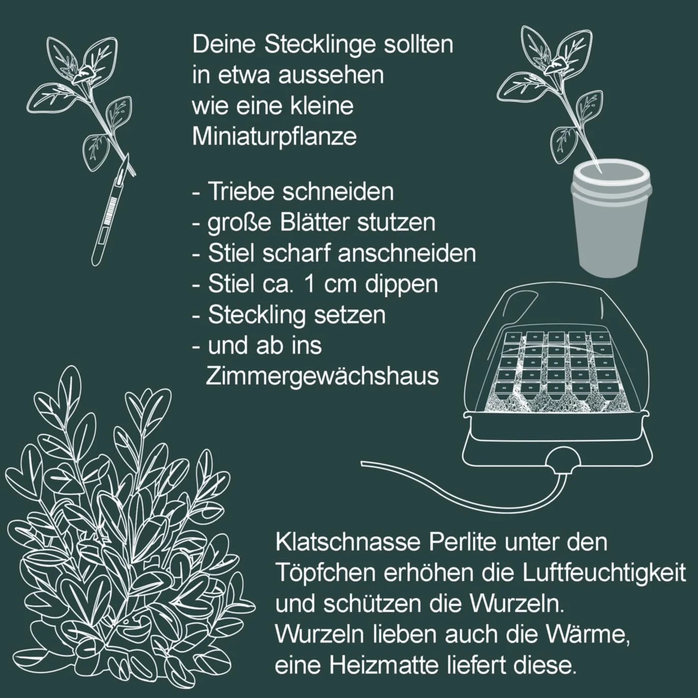 HUBEY Bio Rooting Gel środek do ukorzeniania sadzonek do rozmnażania roślin, stymulator korzeni (30 ml)