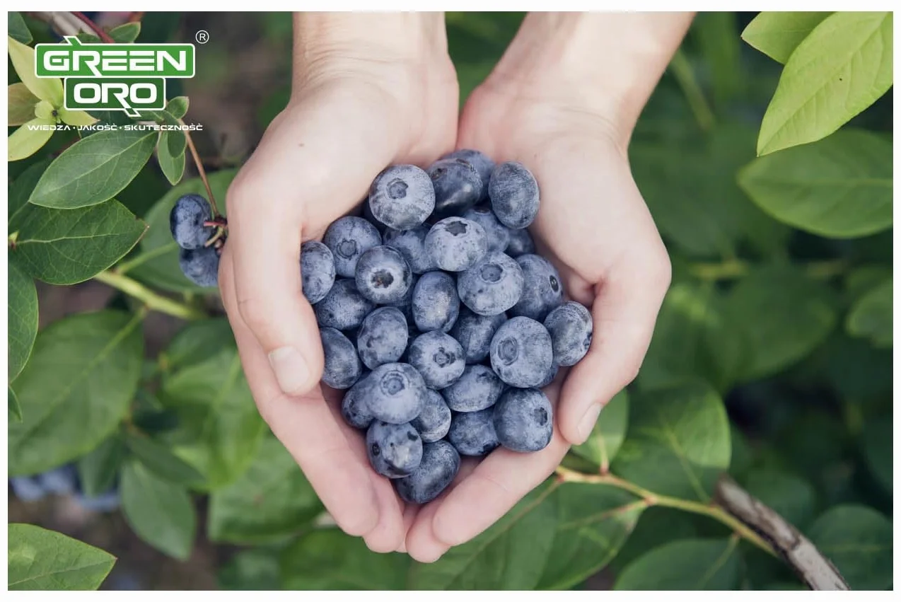 ORO BILBERRY 5KG Nawóz do borówek i roślin kwasolubnych