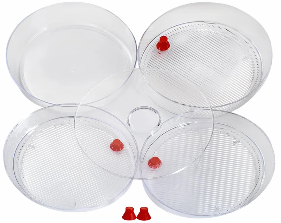 Naczynie do kiełków BIO NATURA plastikon