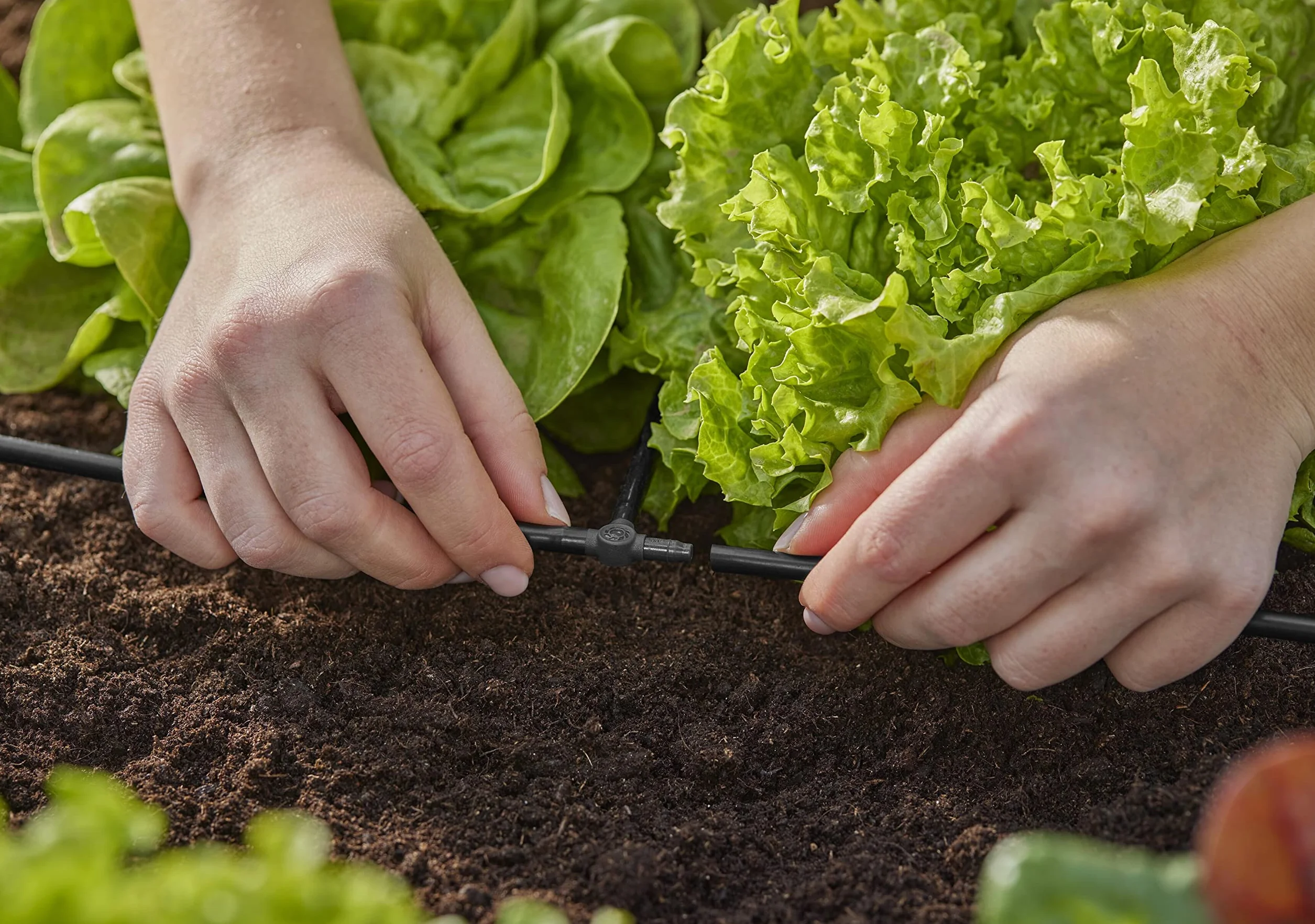 Gardena System Micro-Drip trójnik 4,6 mm (3/16 cala): Akcesoria do odgałęziania rur rozprowadzających i kroplujących, do instalacji bez zagięć, z techniką połączeniową Easy & Flexible (13211-20)