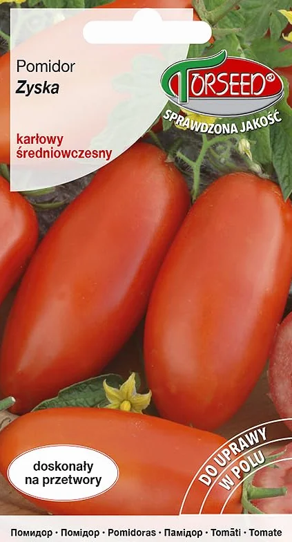 Zyska nasiona pomidorów karłowatych Solanum lycopersicum – średnio wczesna dojrzałość, wysoka wydajność, mocne i mięsiste owoce, idealne do sosów i świeżego spożycia, odmiana oszczędzająca