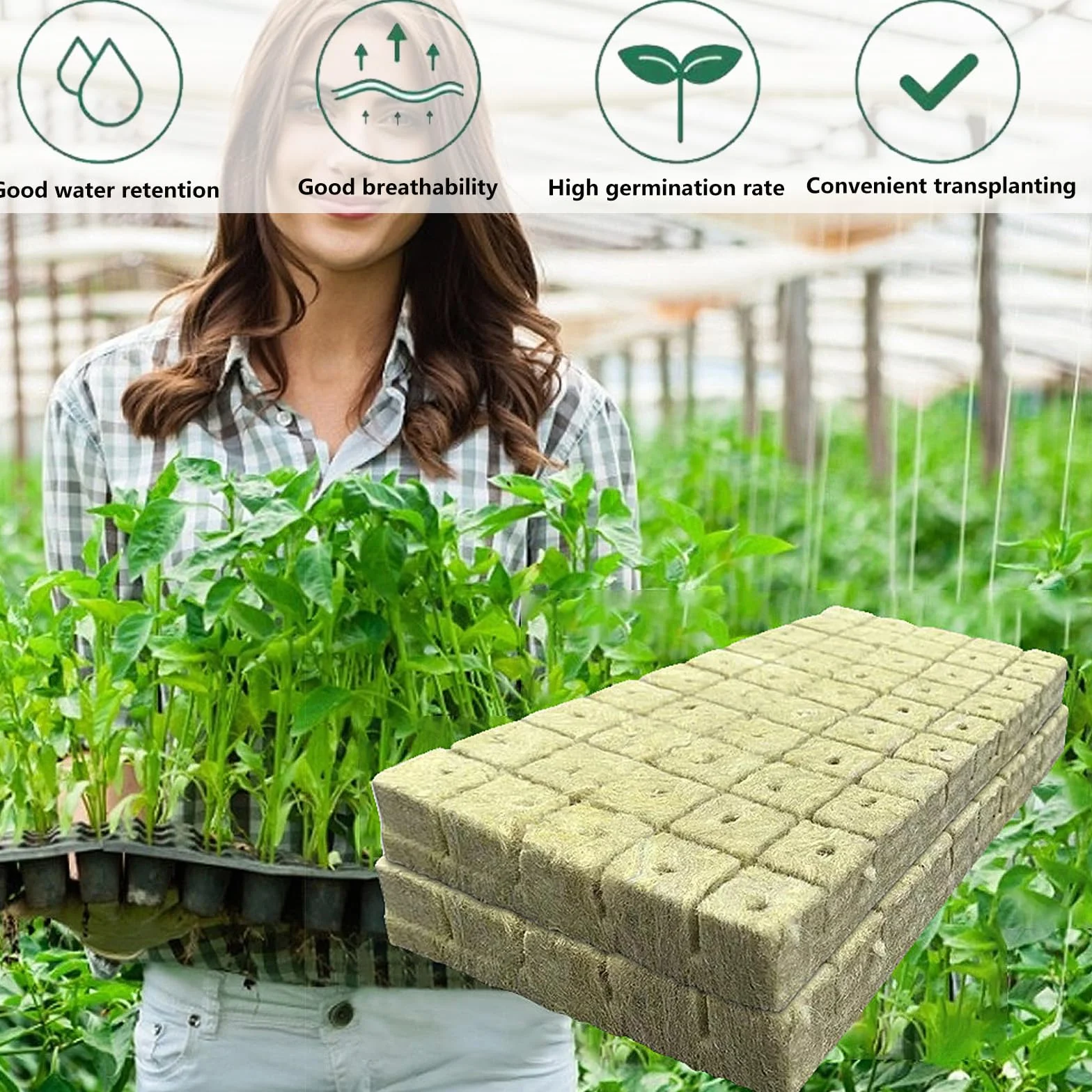 WANYI 50 szt. Kostki wełny skalnej Rockwool Grow Cube do rozmnażania roślin