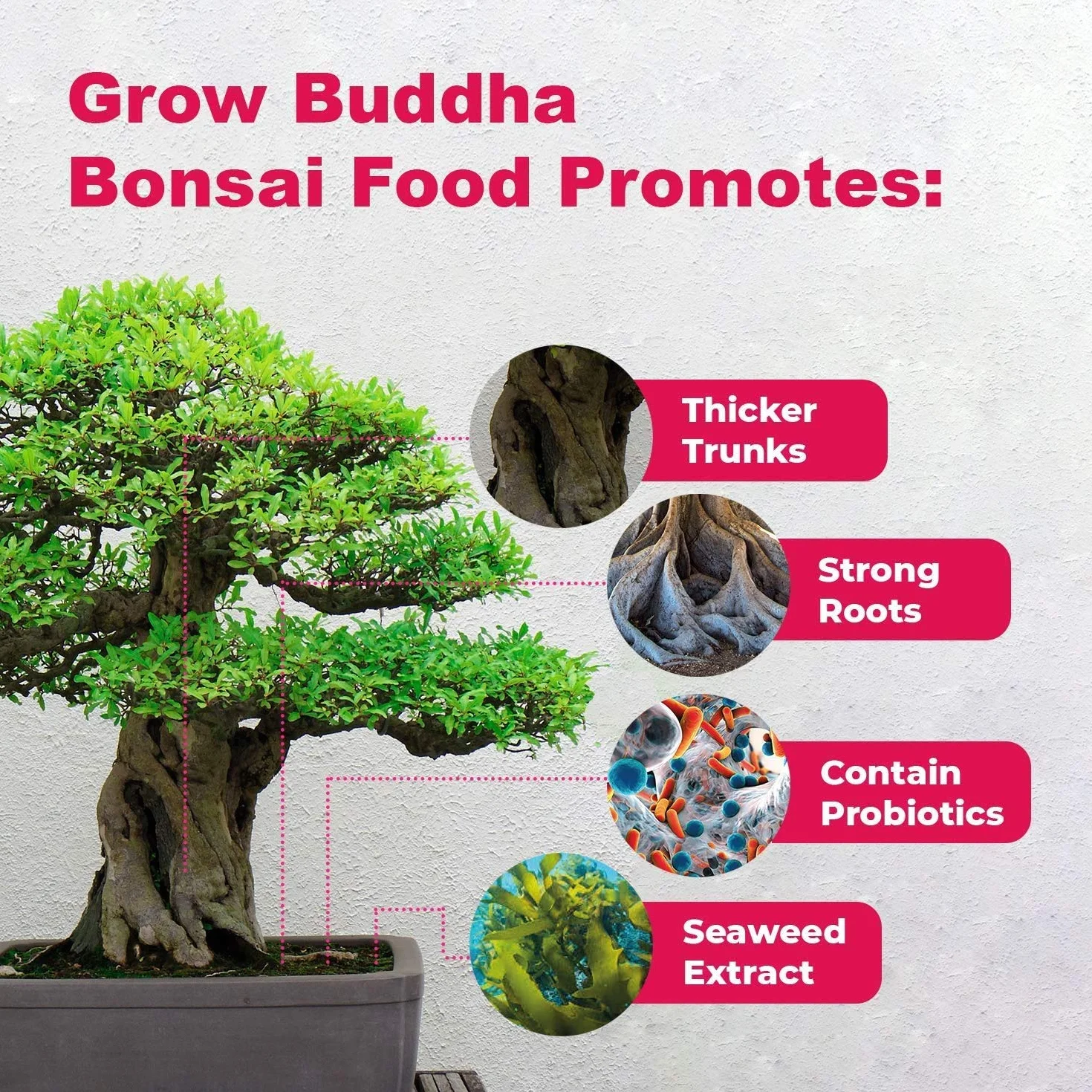 Grow Buddha Bonsai Nawóz spożywczy płynny skoncentrowany 100 ml
