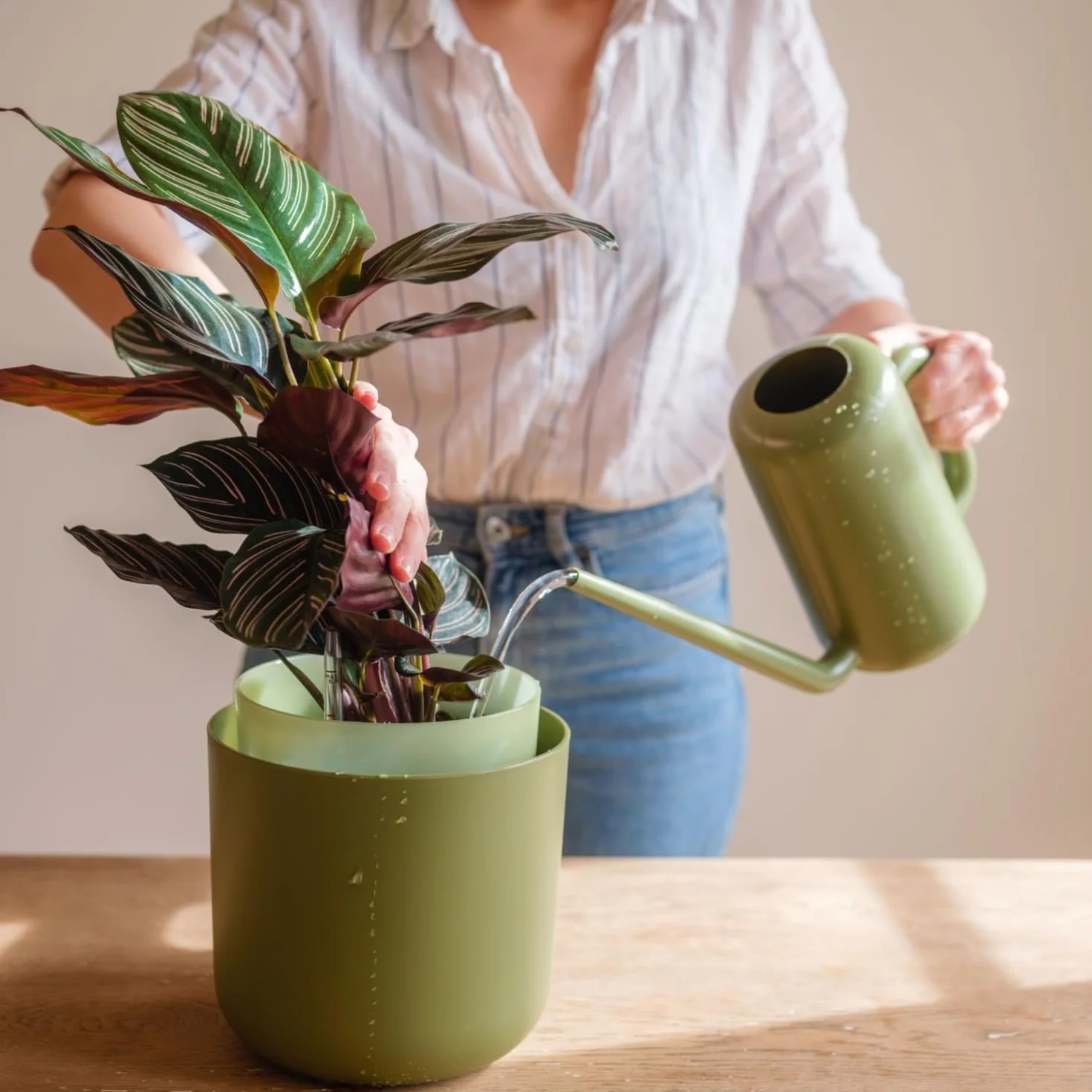 Konewka Ogrodowa z Tworzywa Sztucznego 1,8 L Pilea - do Wewnątrz i na Zewnątrz, Kość Słoniowa