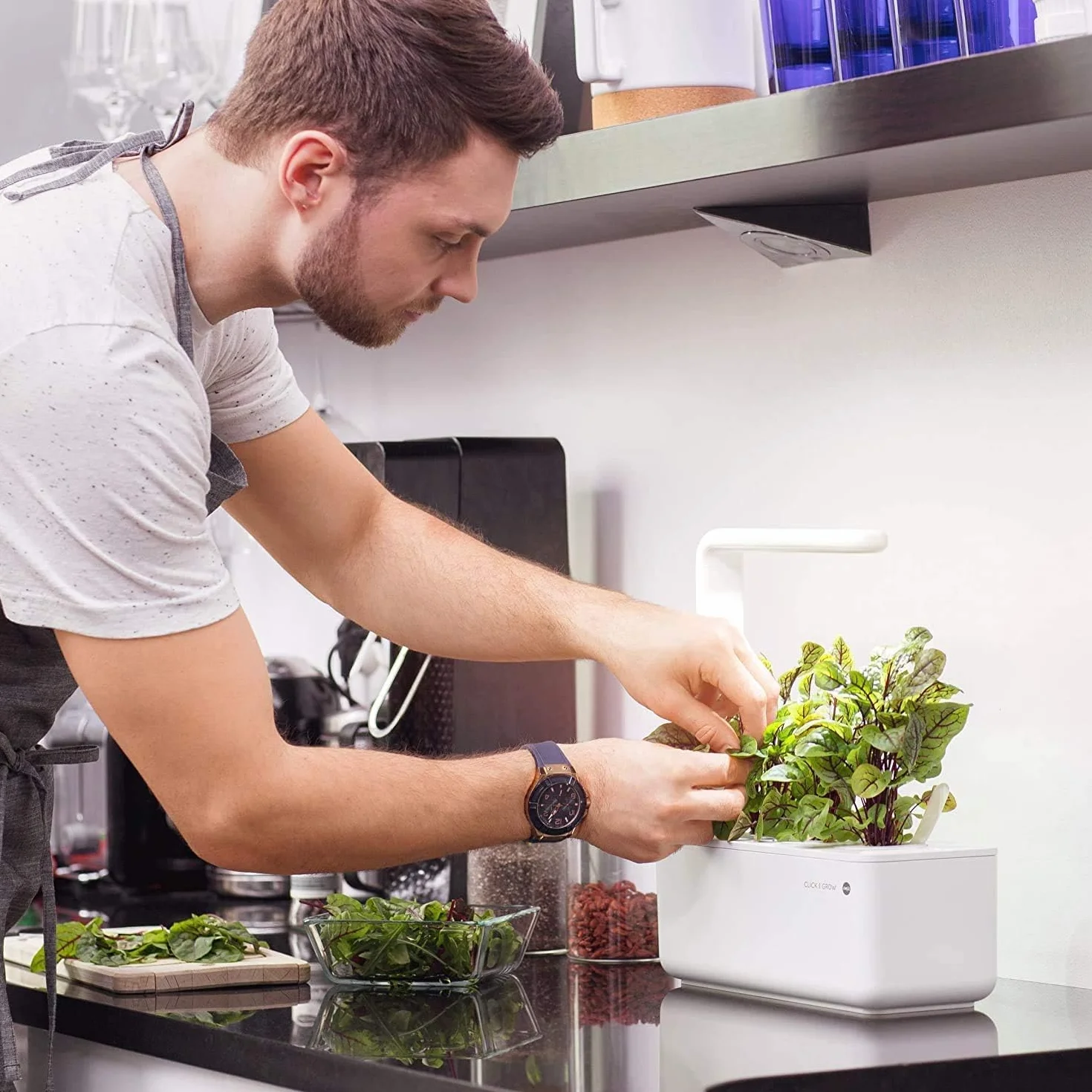 Click & Grow Experimental, zestaw 3 doniczek do inteligentnego ogrodu ziołowego