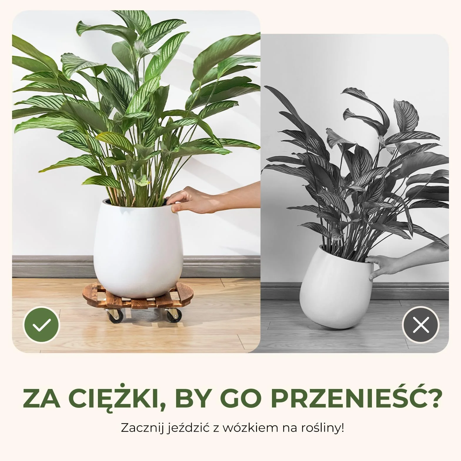 Bamworld Rolki do Roślin Drewniane Okrągłe Zestaw 2 szt.stabilna rolka do roślin outdoor odporna na warunki atmosferyczne z hamulcem, podstawka pod doniczkę z kółkami Ø 30.5 cm