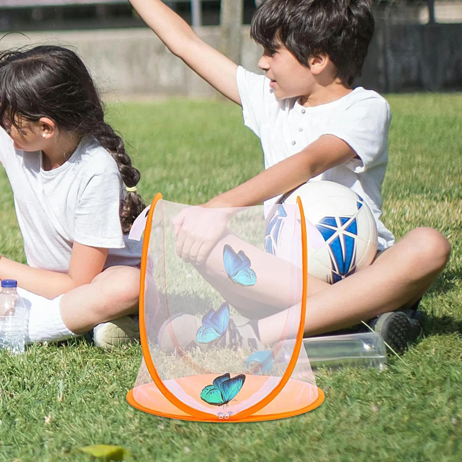 Butterfly Cage Small Butterfly Habitat Mesh Enclosure Foldable Growing Breeding House Zipper Access Portable Design