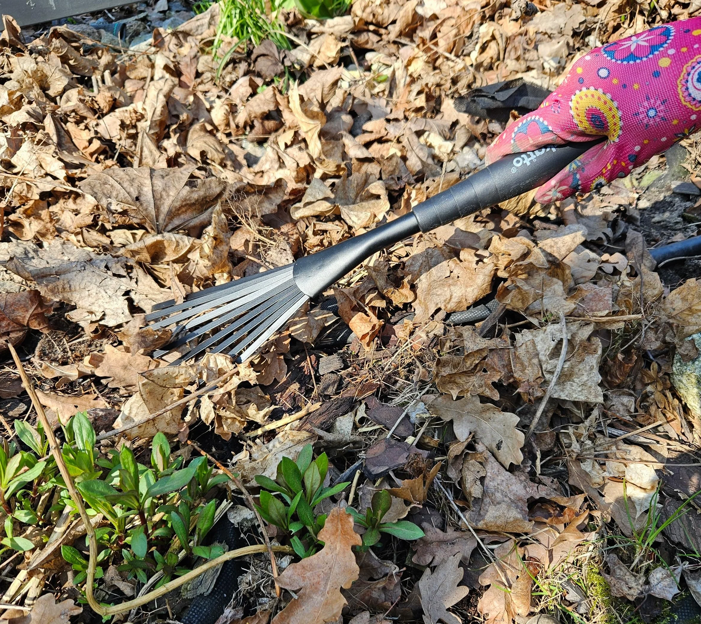 Mivos Stalowa miotła ogrodowa I Zgrabiarka ręczna do zbierania odpadów ogrodowych I 9 elastycznych zębów, szerokość robocza 12 cm I Grabie do liści trawy I Narzędzie ogrodowe do czyszczenia