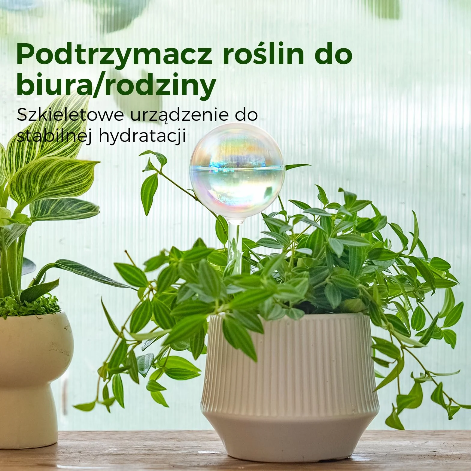 Bamworld Samonawadniające Kule do Podlewania Roślin Szklane Tęczowe Wkładki do Doniczek Samonawadniających Automatyczne Urządzenie do Podlewania Roślin Wnętrznych 2 Sztuki