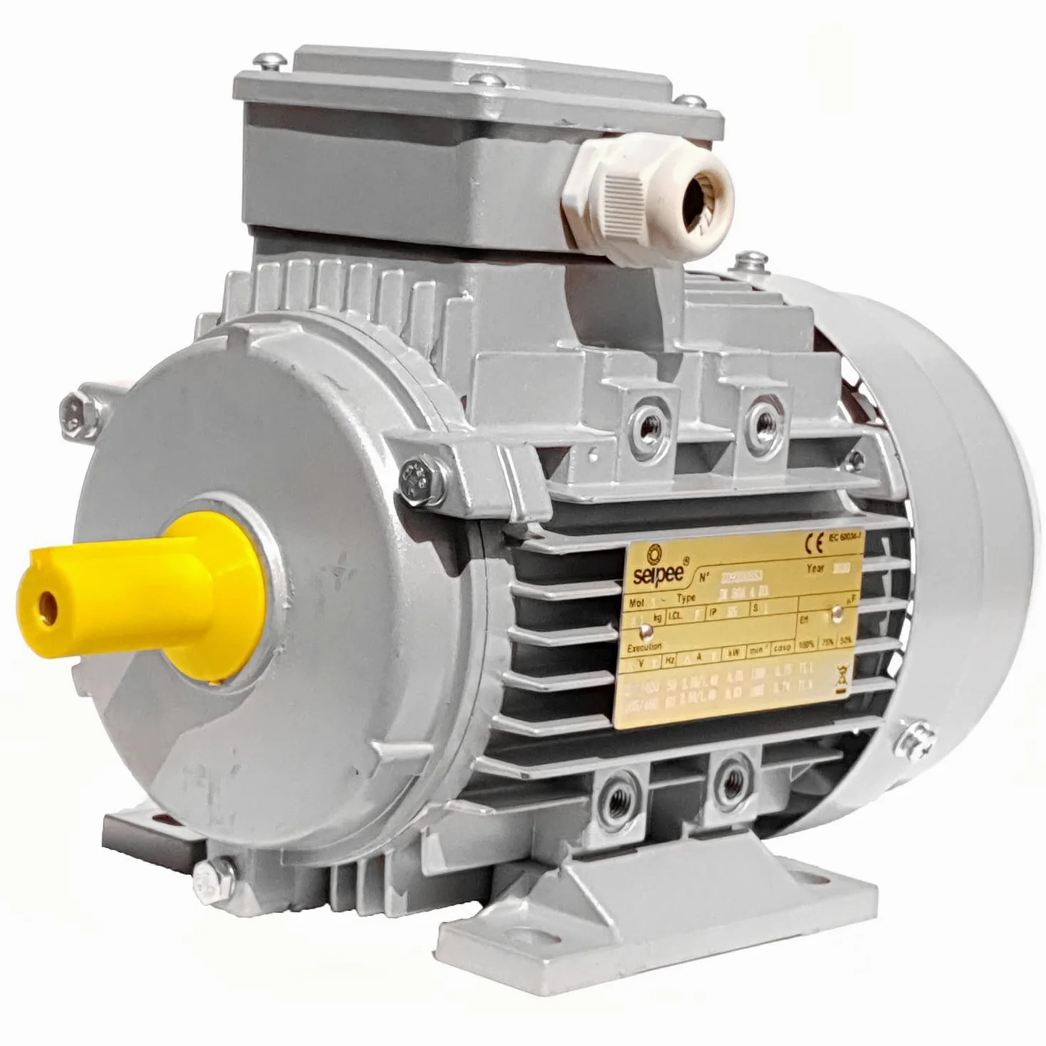 Trójfazowy silnik elektryczny 0.13 kW 0.18 HP 2800 obrotów B3 MEC 56 230 400v Seipee