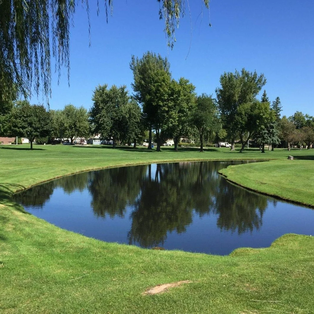 Healthy Ponds Barwnik wodny niebieski granulat do nalewania 499 g