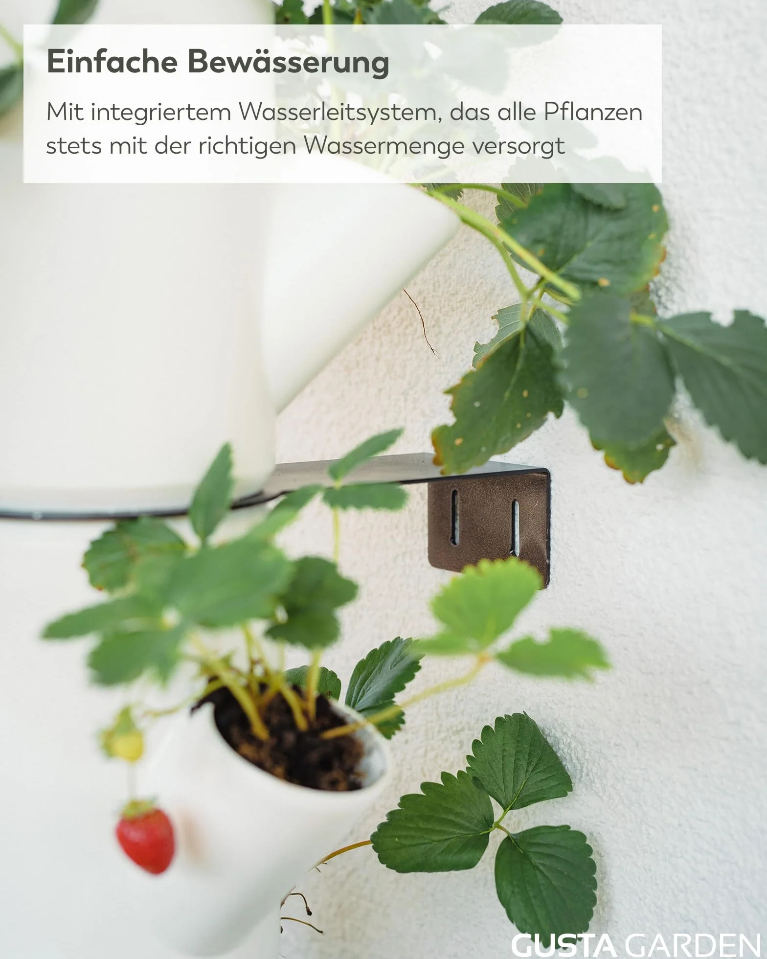 Gusta Garden Sissi Strawberry Infinity donica na rośliny antracyt/szary wieża roślinna podwyższona grządka na truskawki