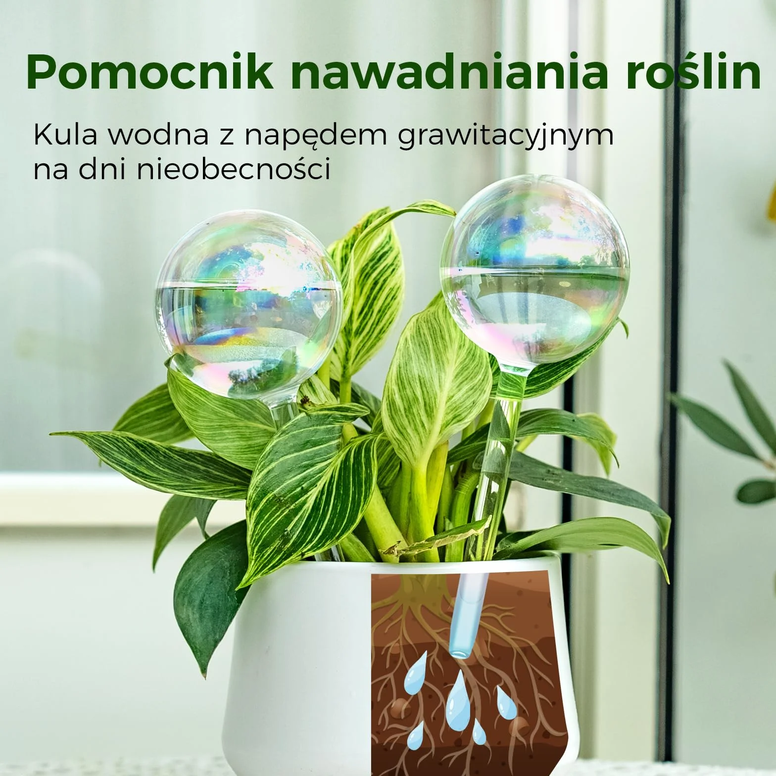 Bamworld Samonawadniające Kule do Podlewania Roślin Szklane Tęczowe Wkładki do Doniczek Samonawadniających Automatyczne Urządzenie do Podlewania Roślin Wnętrznych 2 Sztuki