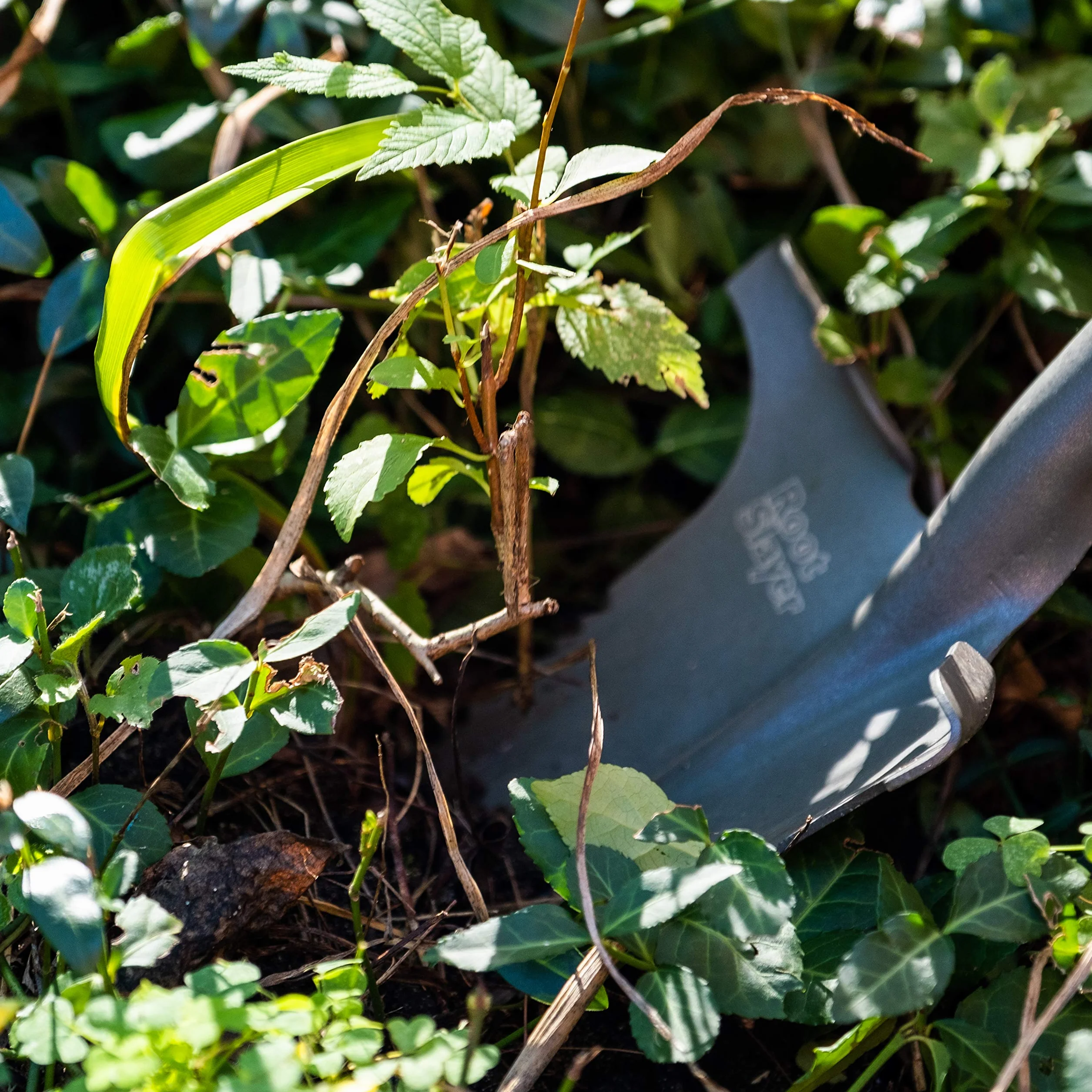 Radius Garden 22311 Root Slayer Mini łopatka do przesadzania z obcinaczem korzeni