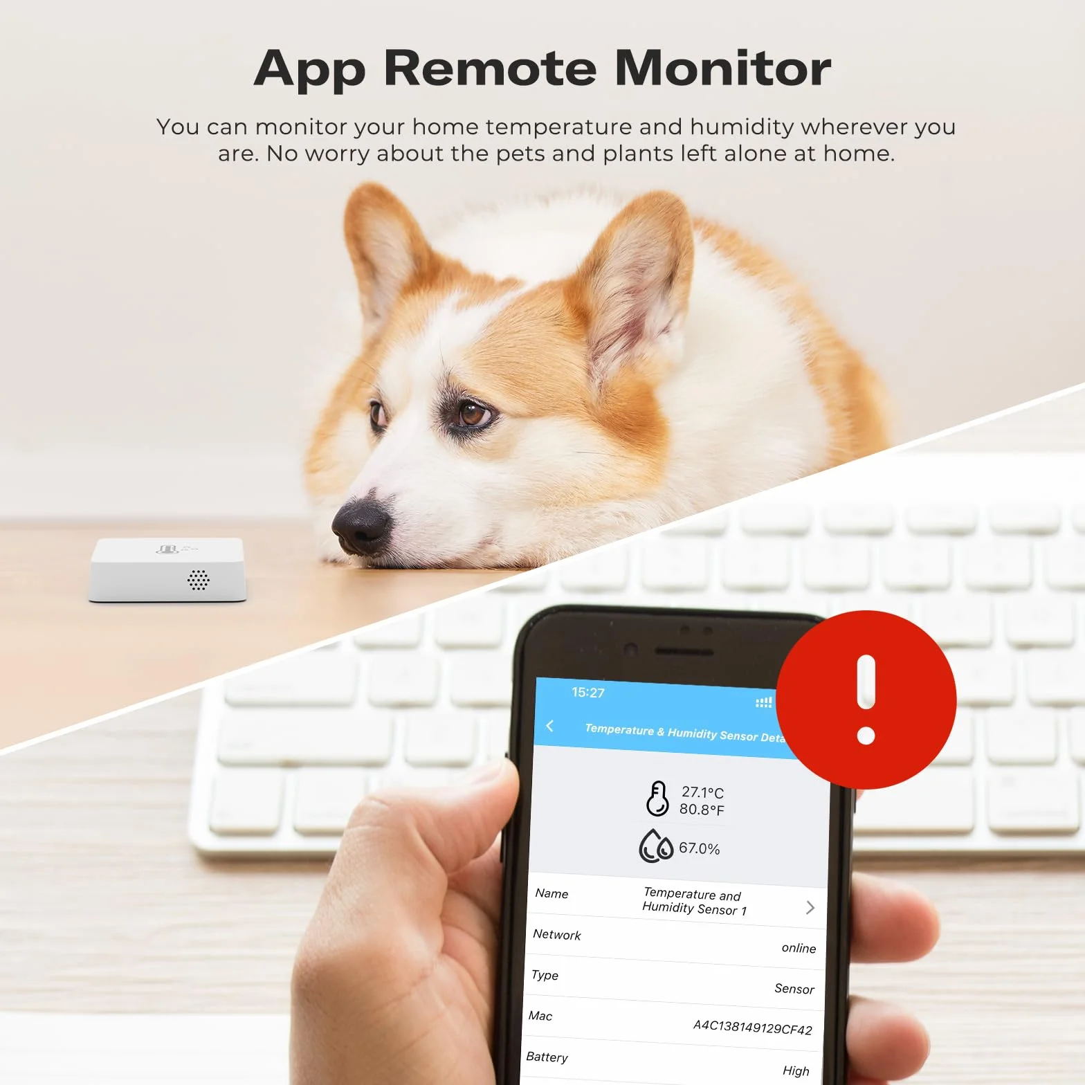 THIRDREALITY Zigbee czujnik temperatury i wilgotności Lite, inteligentny termometr i higrometr, wymagany koncentrator, kompatybilny z urządzeniami Echo z wbudowanym koncentratorem Zigbee, Home
