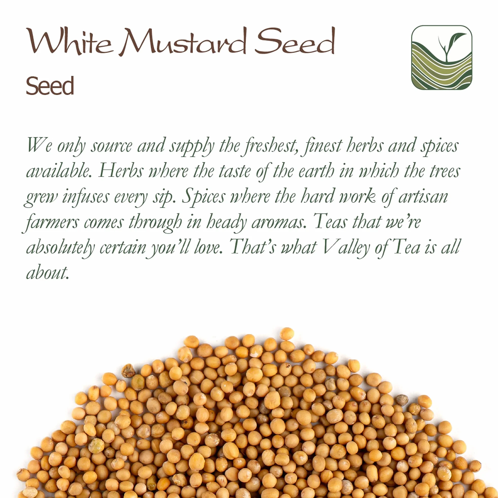 Yellow Mustard Seeds Whole - White Mustard Seed Spicy Ingredient