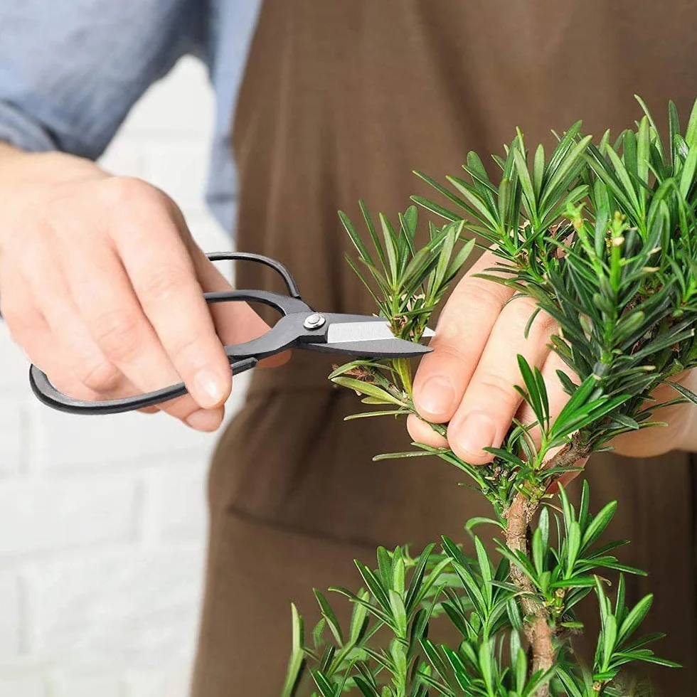 MOSFiATA Zestaw narzędzi bonsai 13 szt. zestaw narzędzi do przycinania sukulentów ze stali wysokowęglowej zawiera nożyce do przycinania, nożyczki, mini grabie, okrągłą i spiczastą łopatę oraz drut