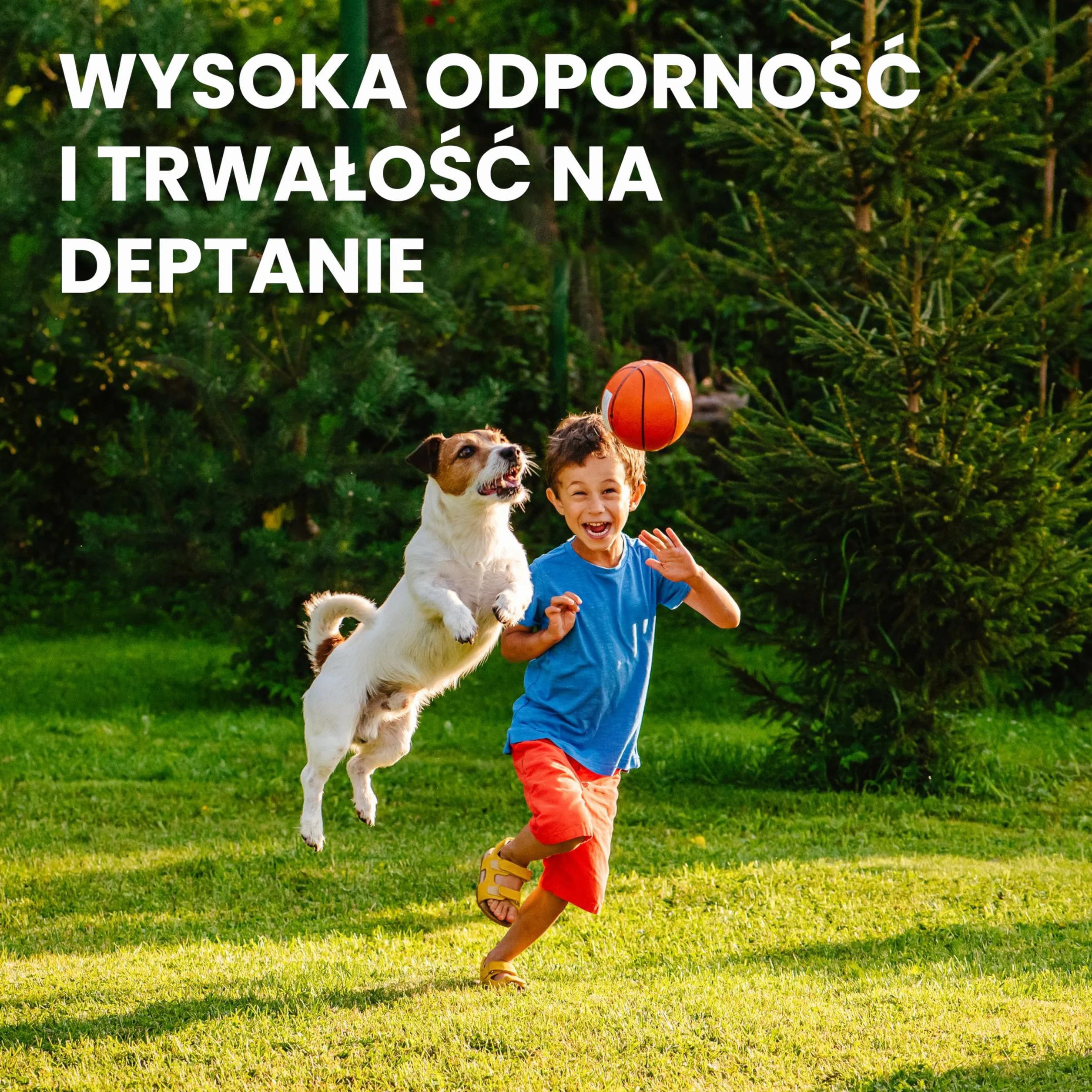 LERAVA® EXPRESS nasiona trawy 70m² szybki wzrost odporność na deptanie trawa regeneracyjna do ogrodów słonecznych i półcienistych odporna na suszę 1,8 kg
