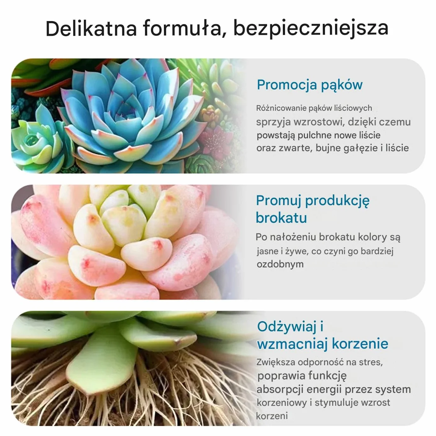 Nawóz Do Kaktusów | Stymulator Wzrostu Sadzonek Dla Sukulentów - 100ml Stymulator Wzrostu Dla Roślin Doniczkowych W Pomieszczeniach I Na Zewnątrz