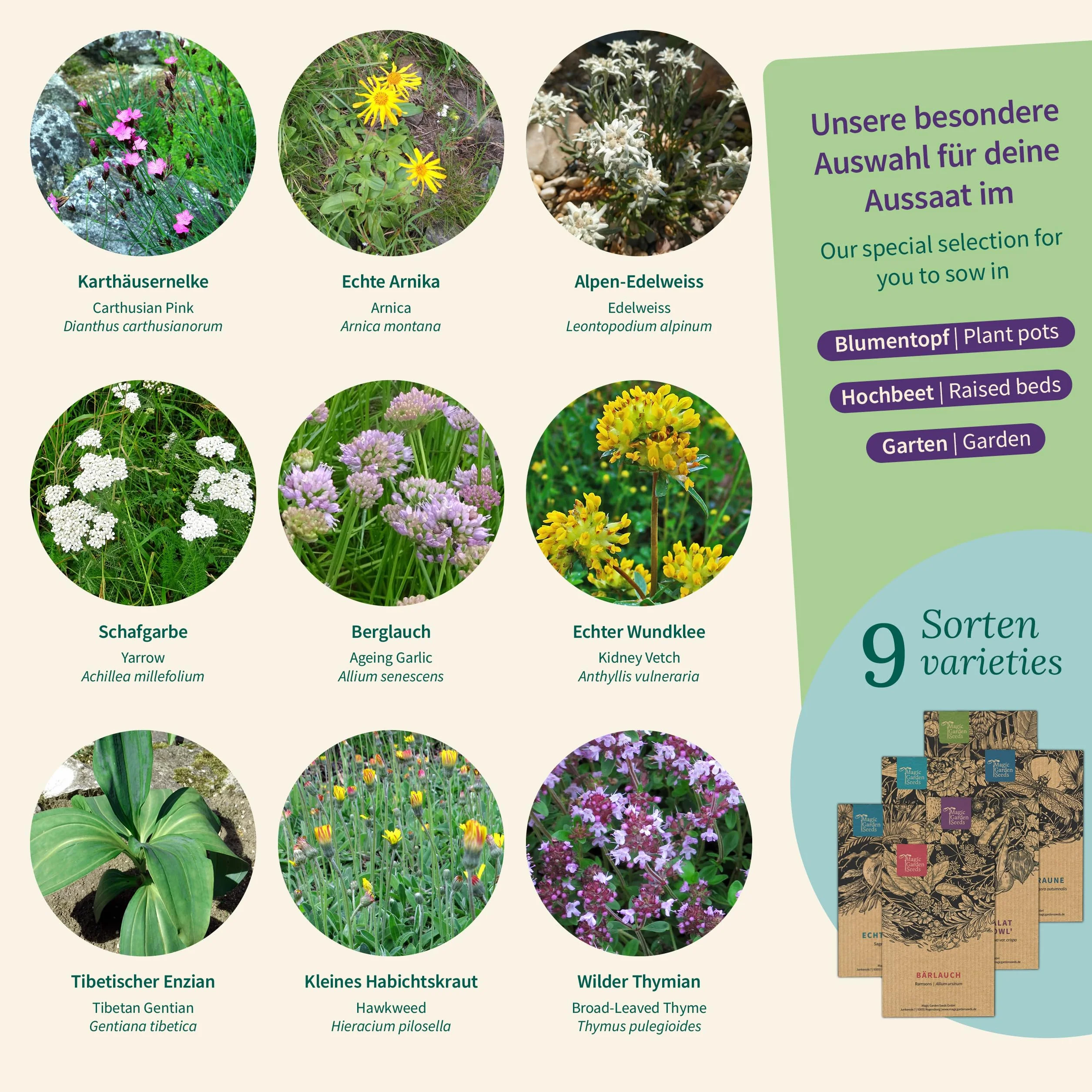 Magic Garden Seeds Pudełko z nasionami roślin alpejskich 9 odmian dzikie kwiaty zioła górskie