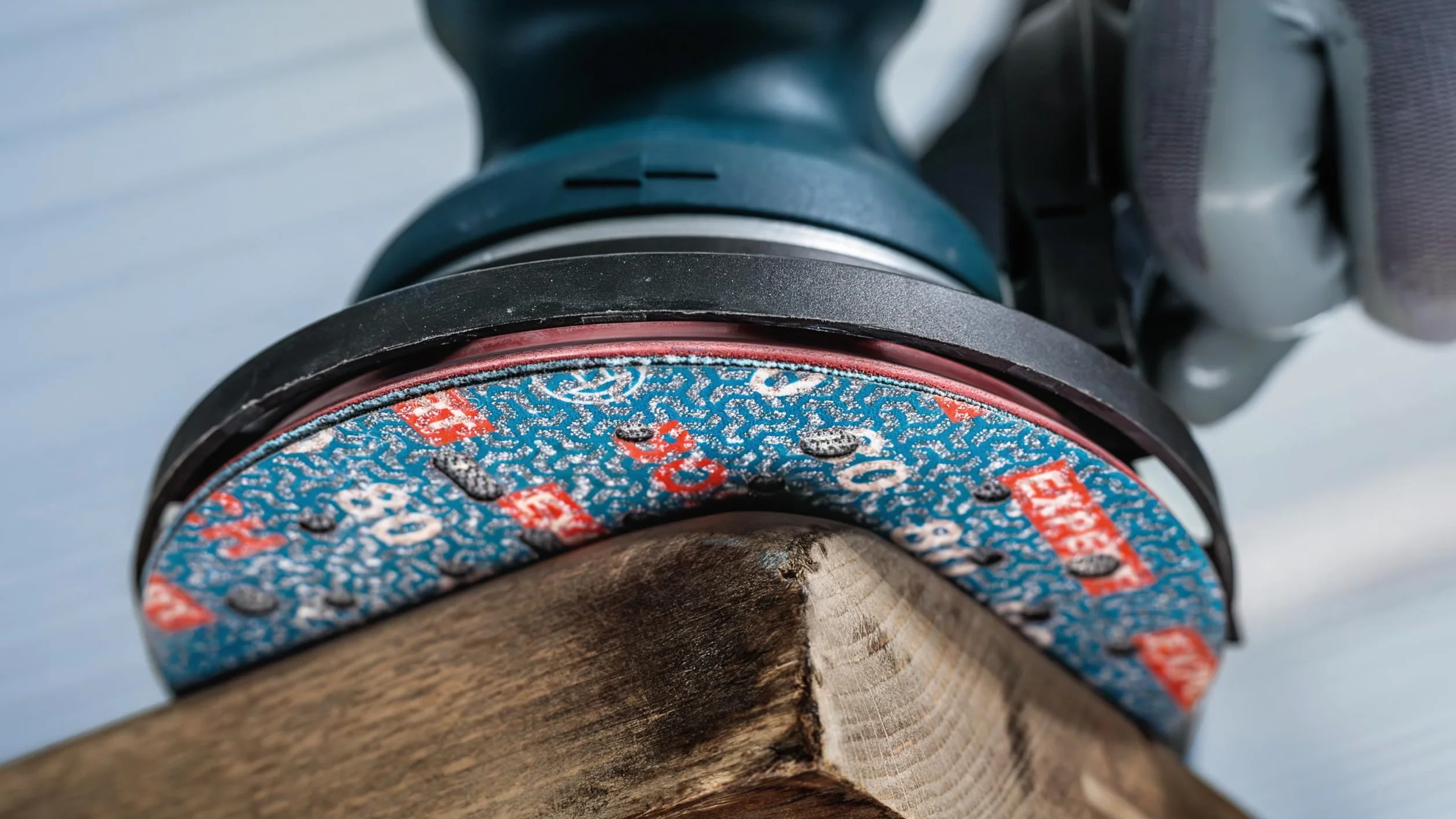 Bosch 50x EXPERT O780 tarcza szlifierska do folii, 150 mm (do twardego drewna, farba na drewnie, Ø 150 mm, ziarnistość 80, profesjonalne akcesoria szlifierka mimośrodowa)