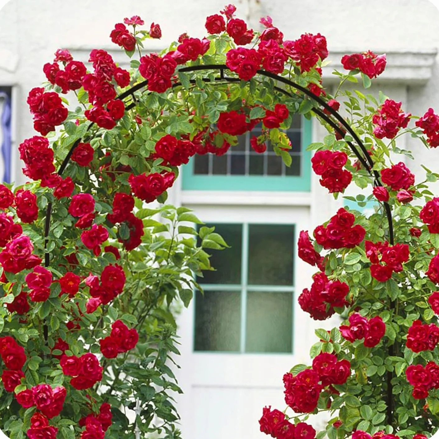 KRUMAD Pergola Ogrodowa na Róże 240x140x38 cm, Stabilna Metalowa Konstrukcja, Odporny na Warunki Atmosferyczne Stelaż, Podpora do Róż, Winorośli i Pnączy, Łatwy Montaż, Idealna do Ogrodu i Tarasu