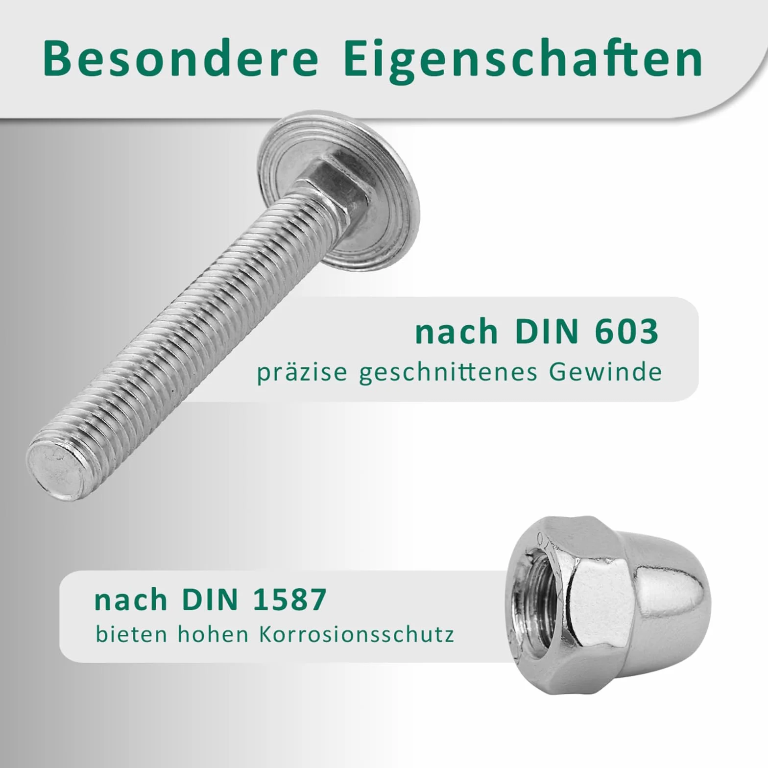 DSM – śruby zamkowe M12 x 65 mm zgodnie z normą DIN 603 – nakrętki DIN 1587 – stal szlachetna A2/V2A – pełny gwint – śruby z łbem płaskim z nasadką czworokątną – nakrętki kopułowe – wysoki kształt