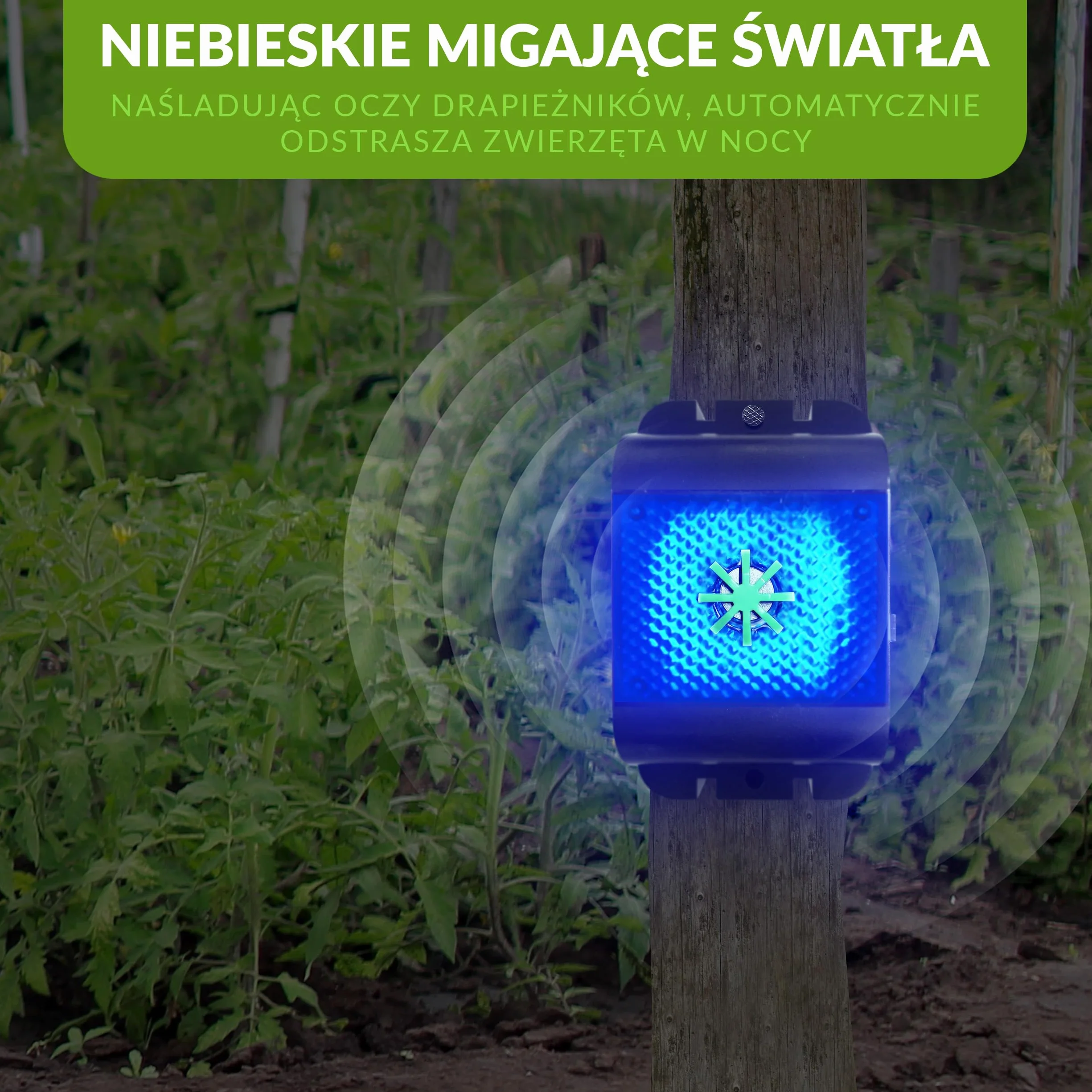 ISOTRONIC Ultradźwiękowy odstraszacz myszy i szczurów 40 m² LED