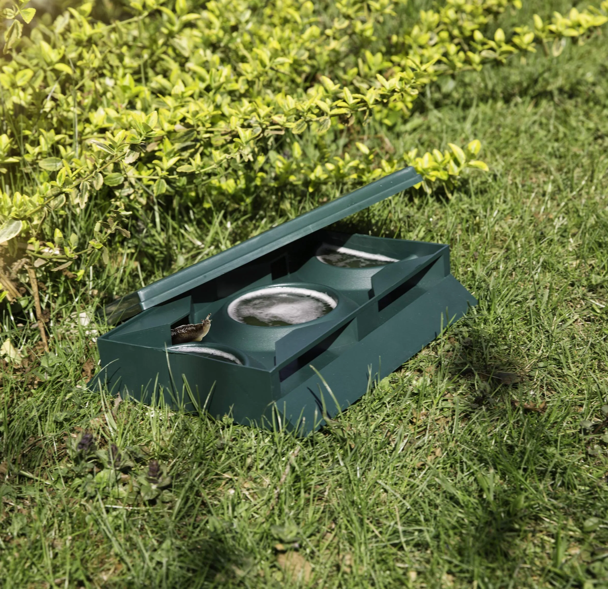 Windhager Pułapka na ślimaki Slug-Away, pułapka na piwo, ochrona przed ślimakami, zwalczanie ślimaków bez chemii i trucizny, 20,5 x 26 x 6 cm, zielona, 02430
