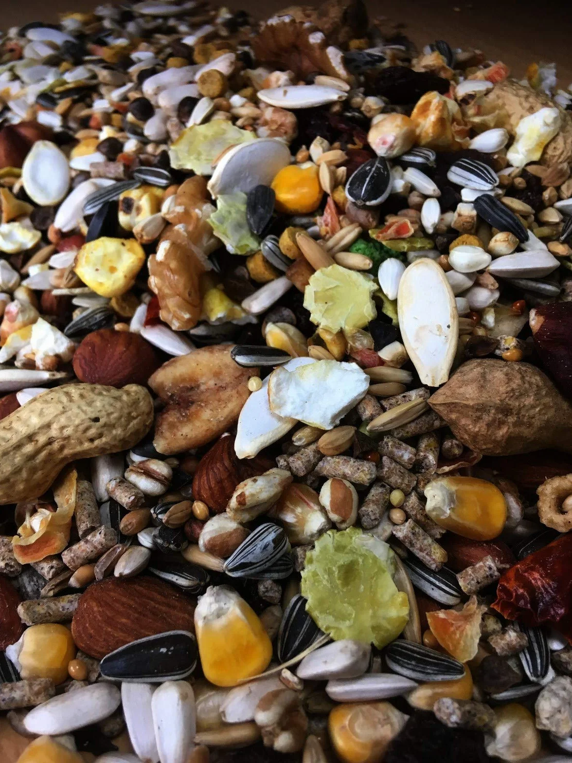 Karma dla wiewiórek klasy premium, 25 kg, najwyższa klasa, karma dla wiewiórek