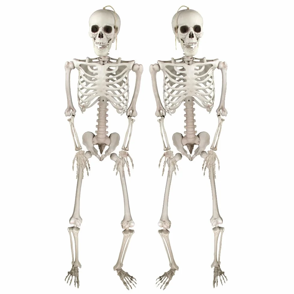 Realistyczne szkielety halloweenowe 40,6 cm dekoracje na Halloween 2 szt