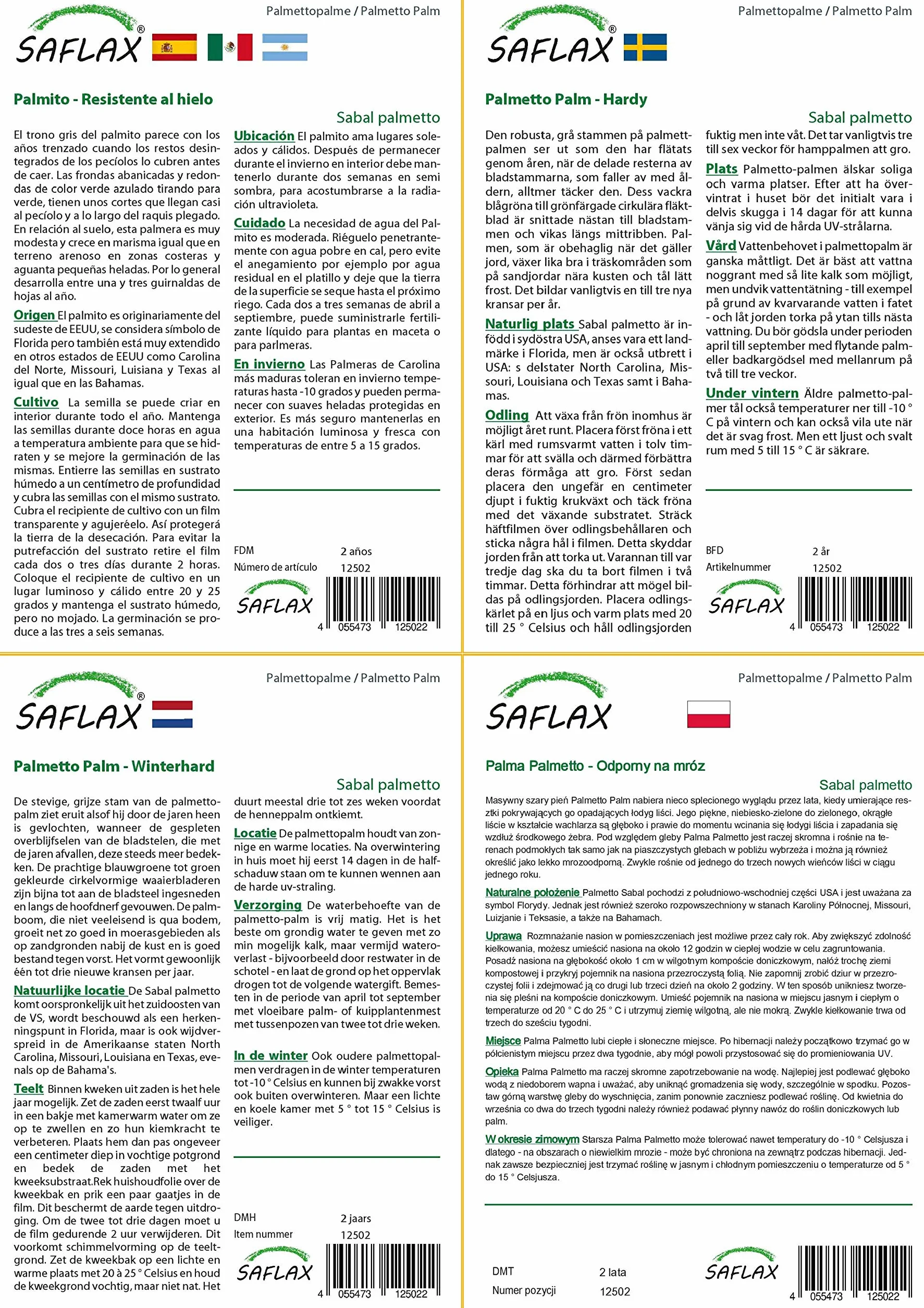 SAFLAX Palma Palmetto 8 Nasiona Sabal palmetto