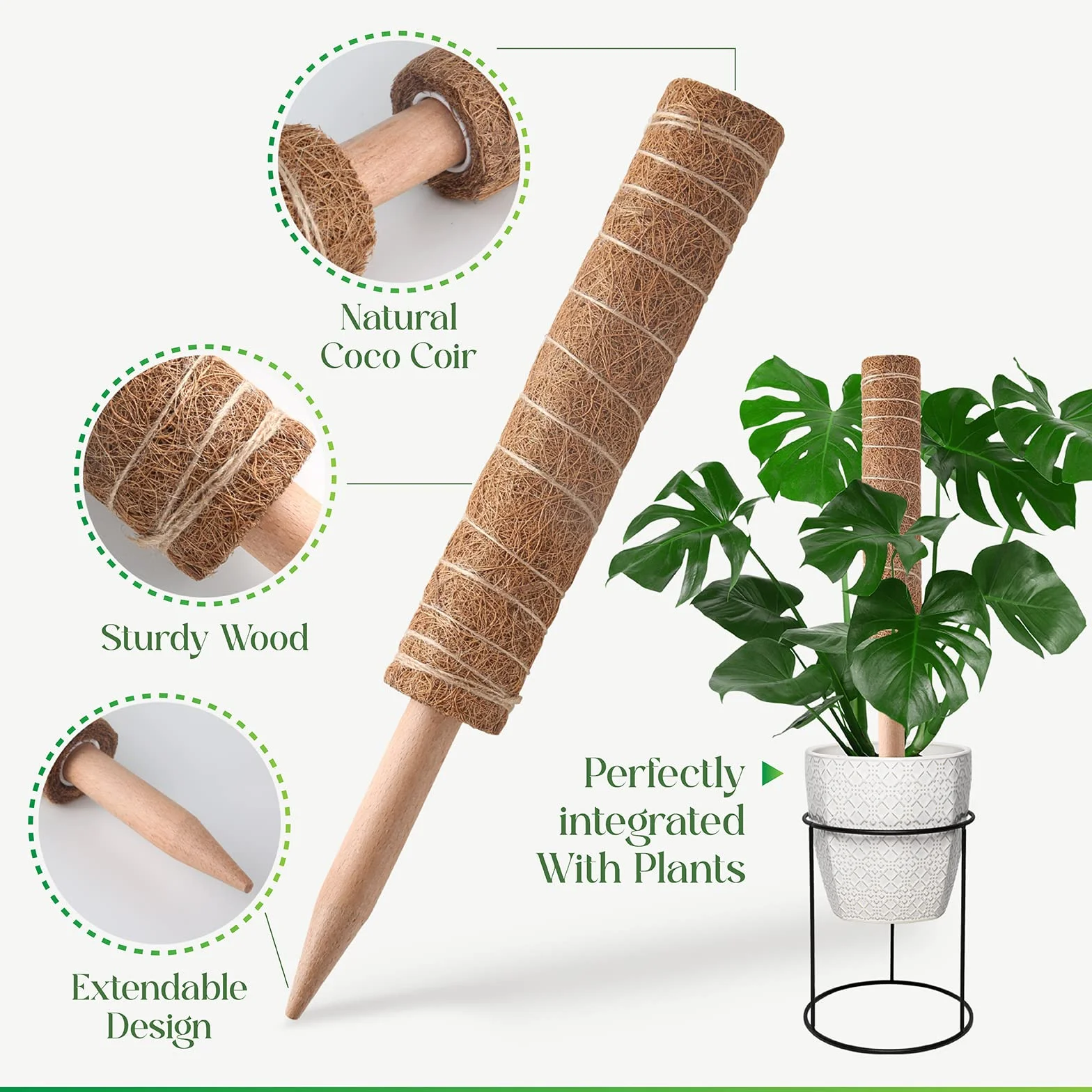 Słup do mchu do roślin monstera, wysuwany wspornik, 30 cm, kratka kokosowa, 4 szt.