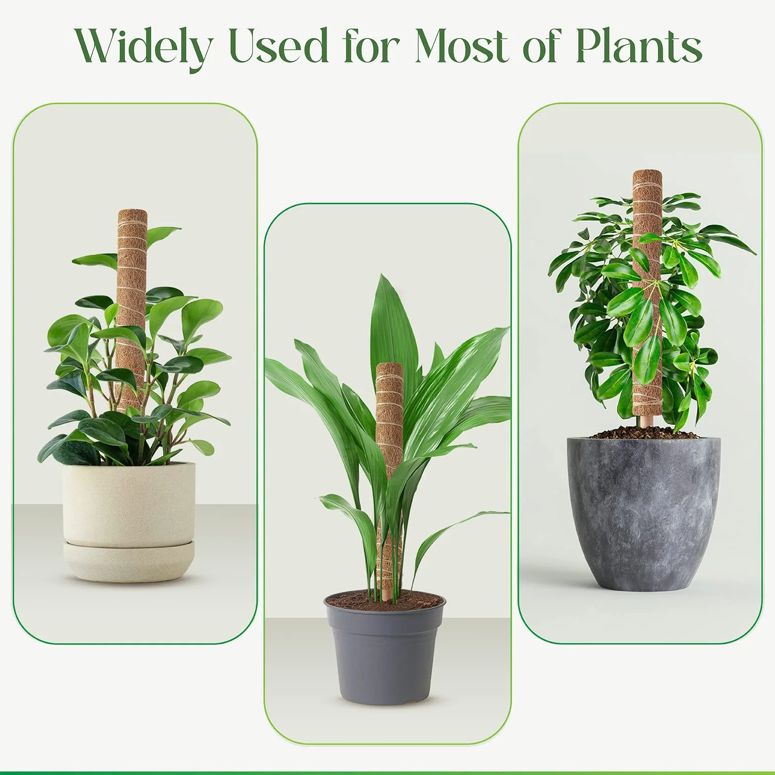 Słup do mchu do roślin monstera, wysuwany wspornik, 30 cm, kratka kokosowa, 4 szt.