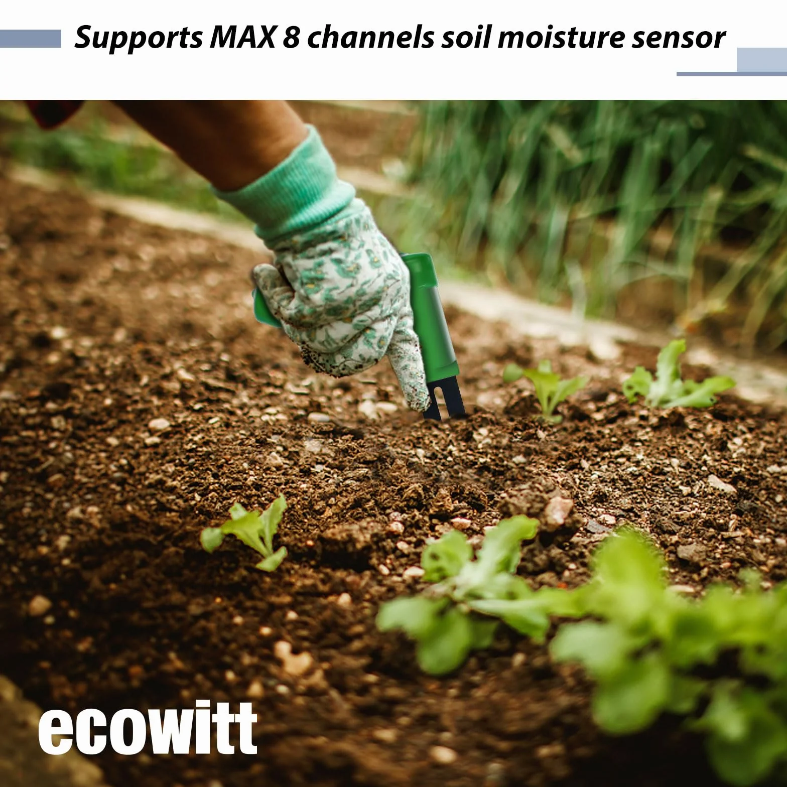 ECOWITT GW1206 bezprzewodowy czujnik wilgotności gleby WH51 3 w 1 z bramą Wi-Fi IoT GW1200