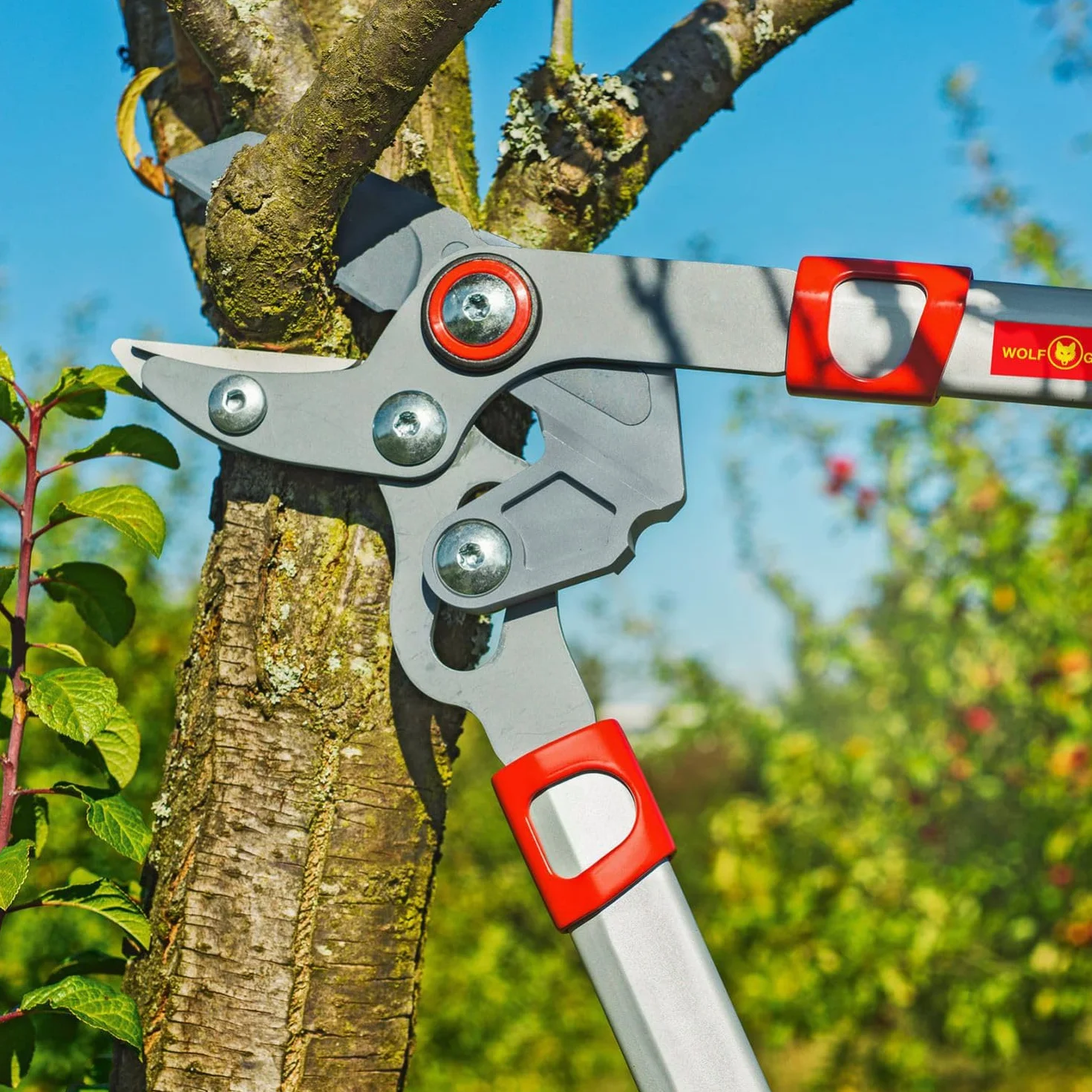 Wolf Garten "Power CUT RS 650" Lopper, czerwony/żółty/srebrny, 66 x 21 x 3,3 cm