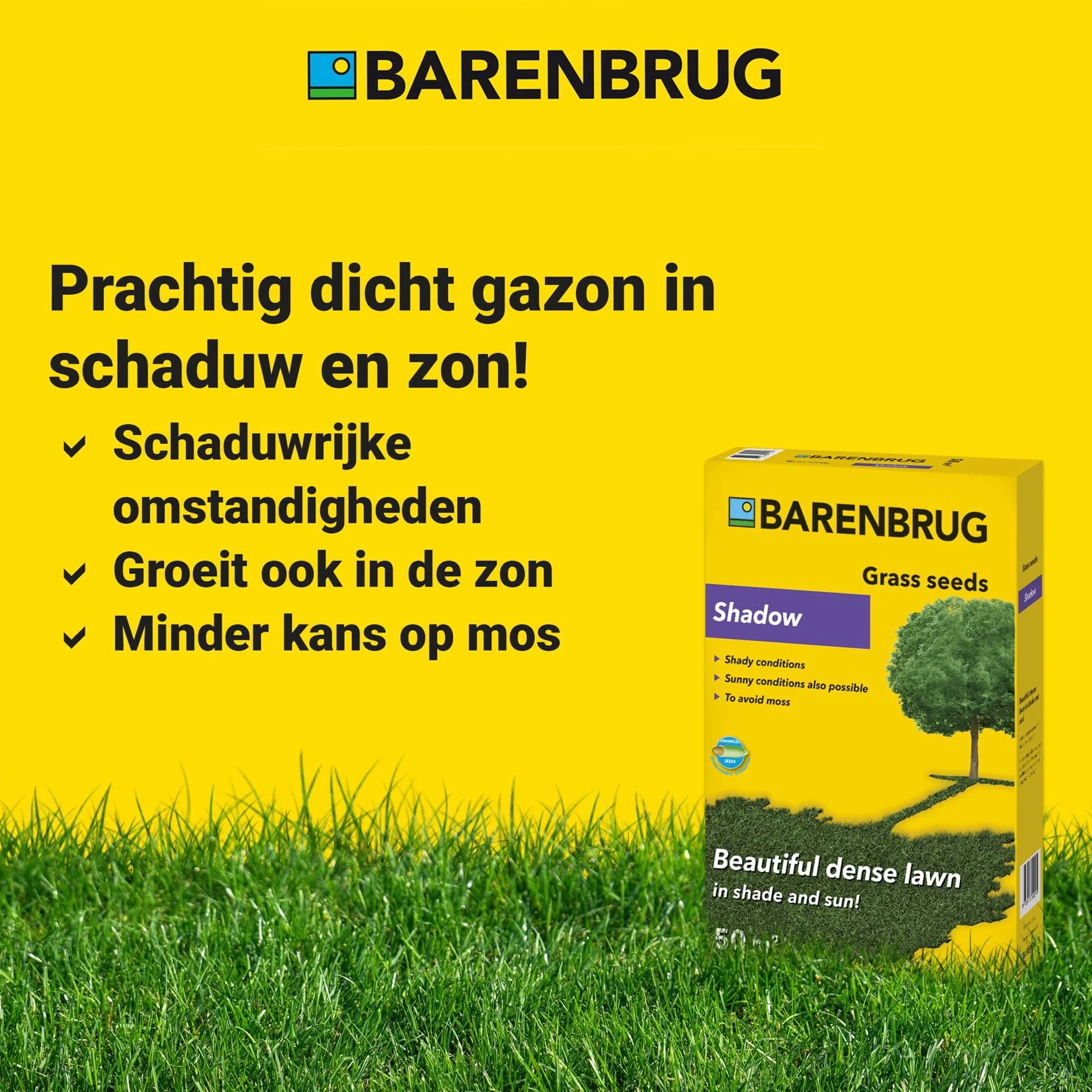 Barenbrug Shadow Trawa na Cień 5kg Nasiona Trawy